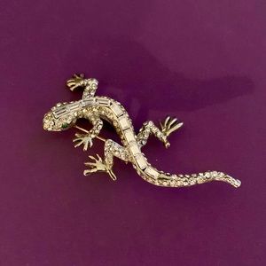 Beautiful Lizard Pin